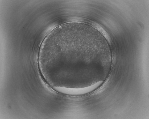 X0000114080954200911161013