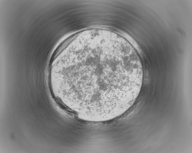 X0000114080955200911161013