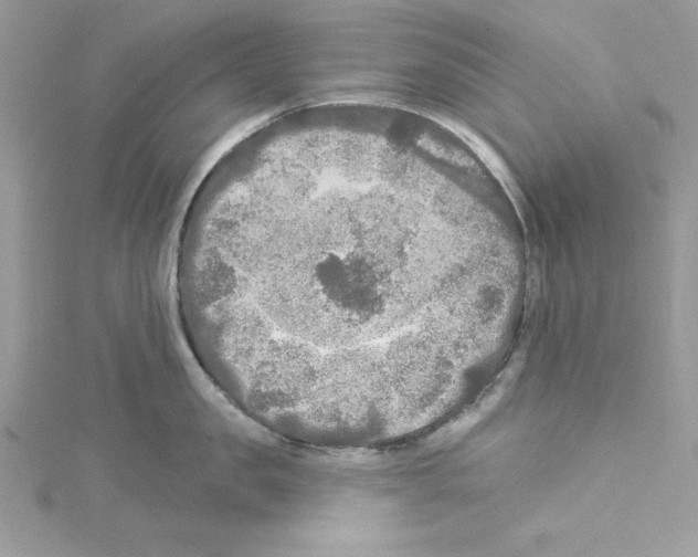 X0000114080957200911161013