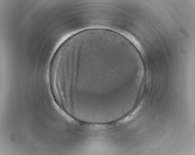 X0000114080958200911161013