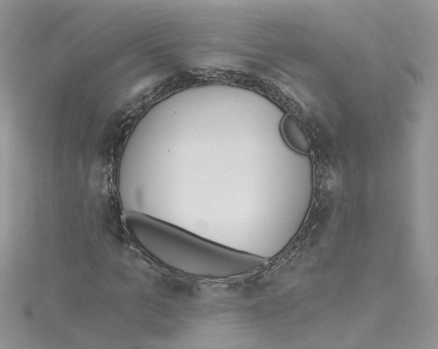 X0000114080965200911161012