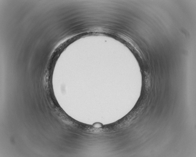 X0000114080971200911161012