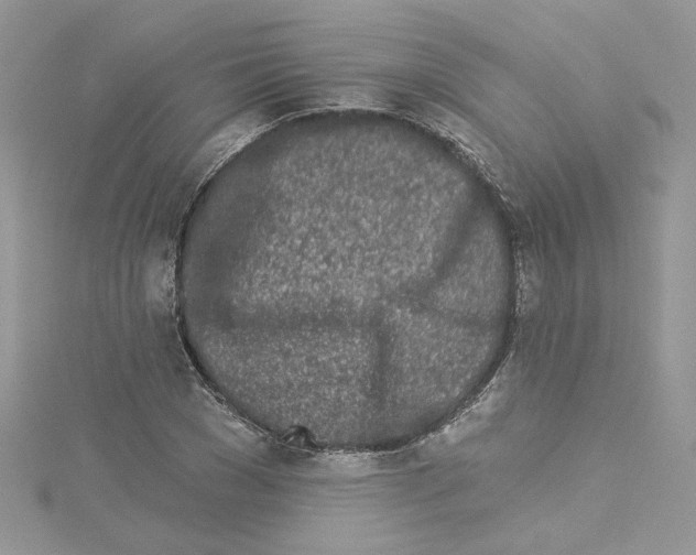 X0000114080977200911161012