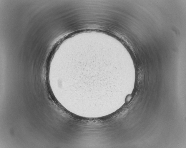 X0000114080979200911161012