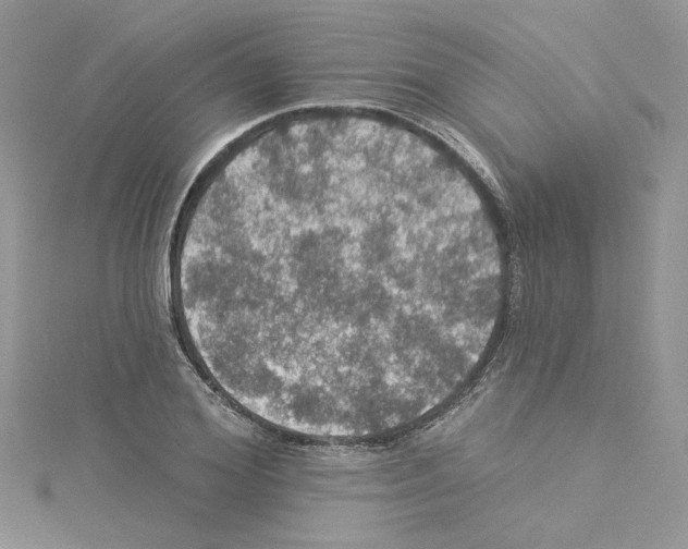 X0000114080980200911161012