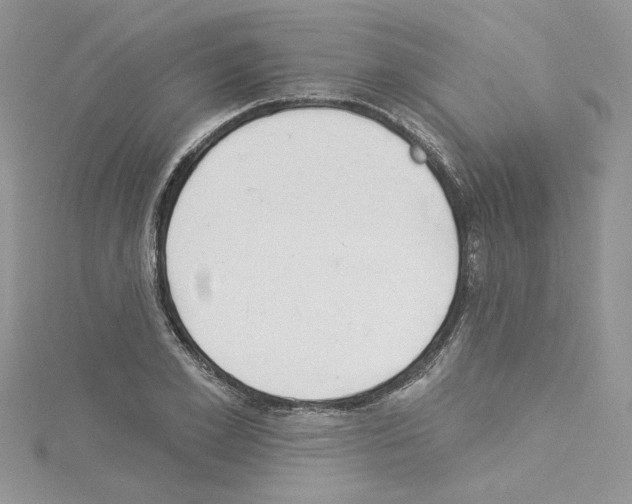 X0000114080981200911161012