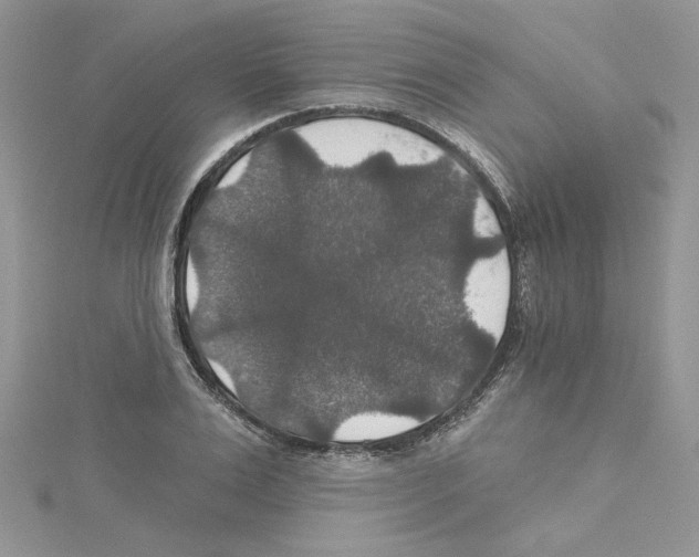 X0000114080983200911161012