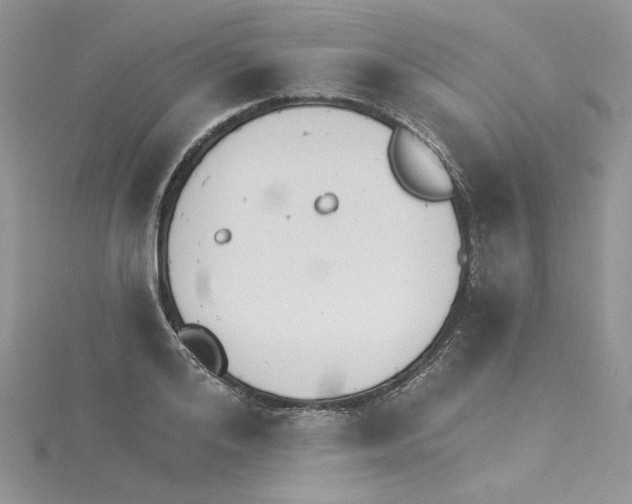 X0000114080984200911161012