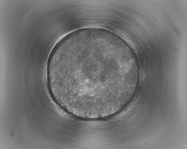 X0000114080988200911161012