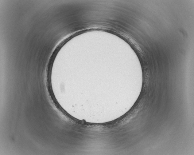 X0000114080991200911161012