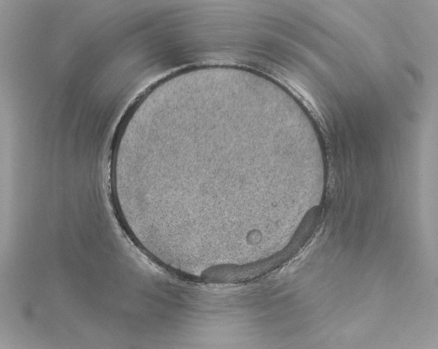 X0000114080992200911161012