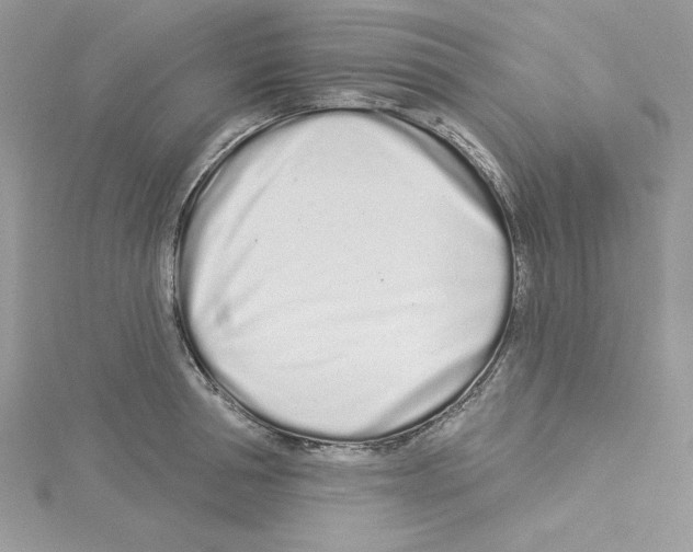 X0000114080994200911161012