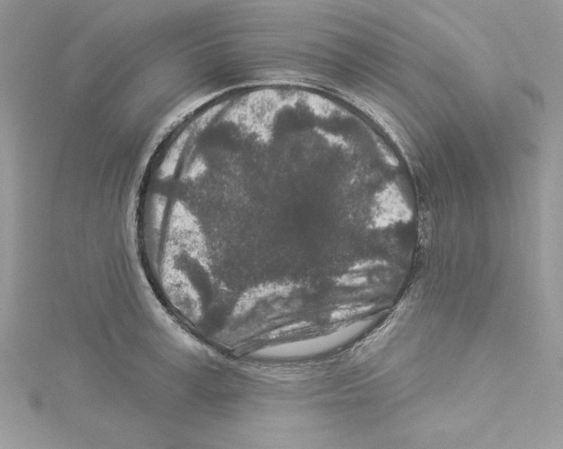 X0000114080995200911161012