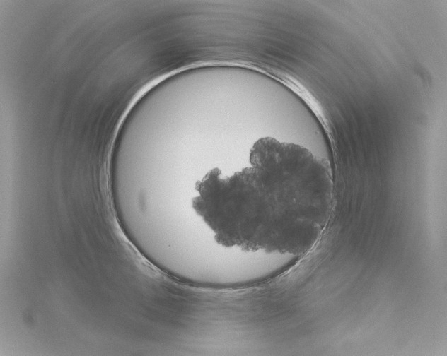 X0000114080996200911161012