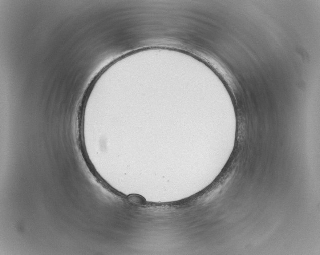 X0000114080999200911161012