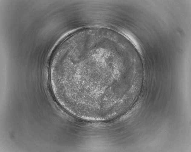 X0000114081000200911161012