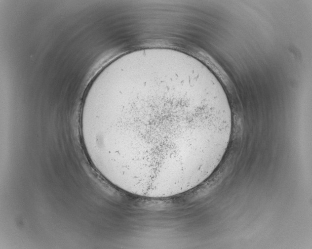 X0000114081002200911161012