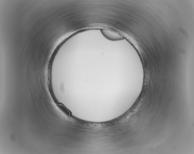 X0000114081003200911161012