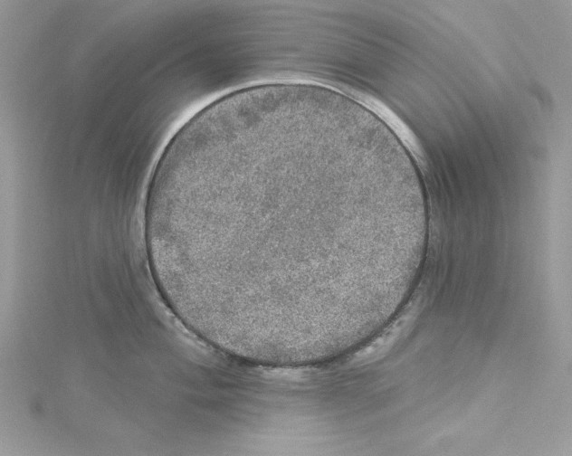 X0000114081004200911161012