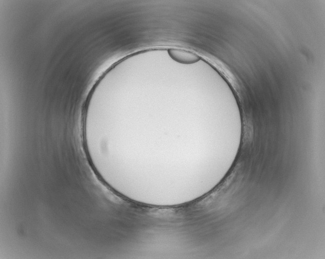 X0000114081006200911161012