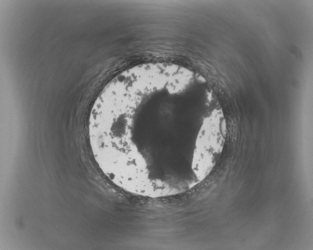 X0000114081009200911161011