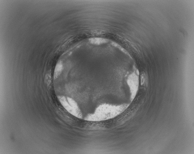 X0000114081011200911161011