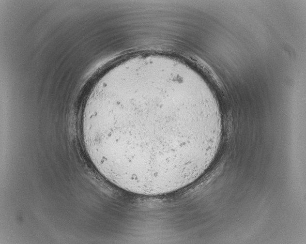 X0000114081019200911161011