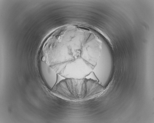 X0000114081021200911161011