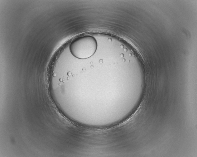 X0000114081022200911161011