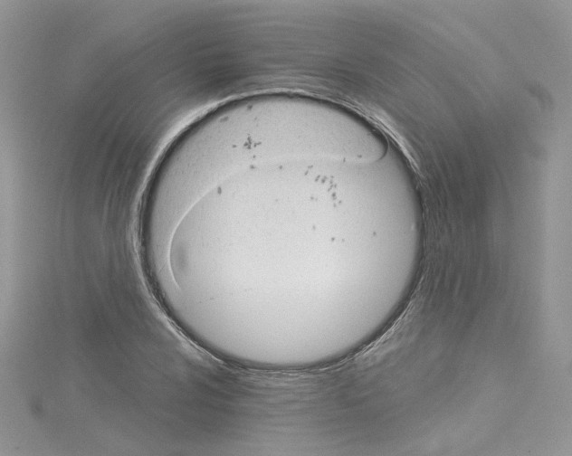 X0000114081024200911161011