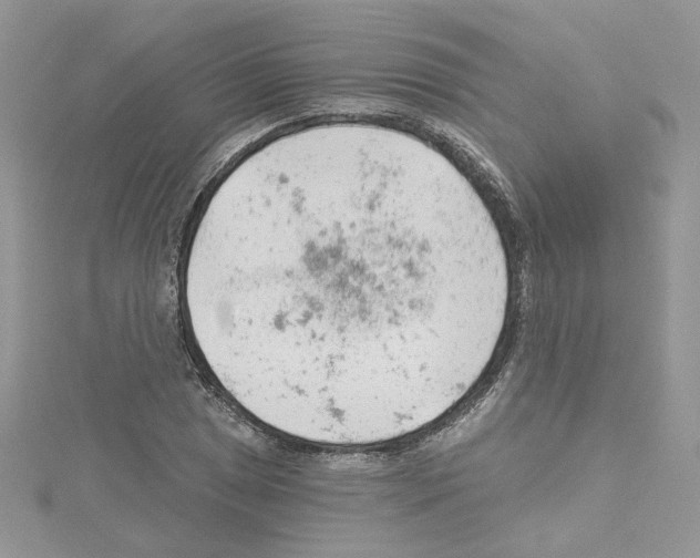 X0000114081025200911161011