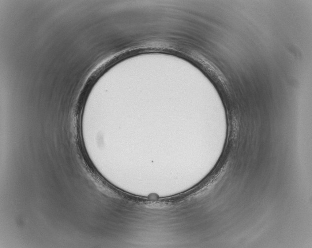 X0000114081029200911161012