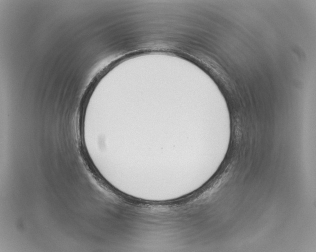 X0000114081030200911161012