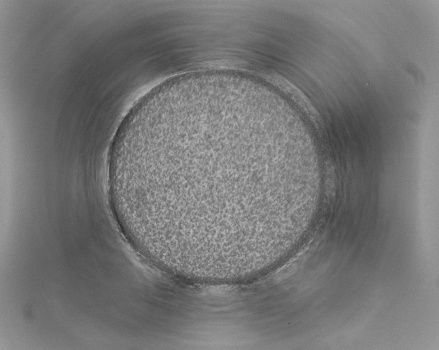 X0000114081031200911161012