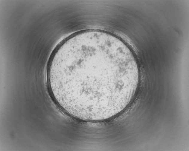 X0000114081032200911161012