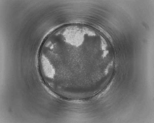 X0000114081037200911161012