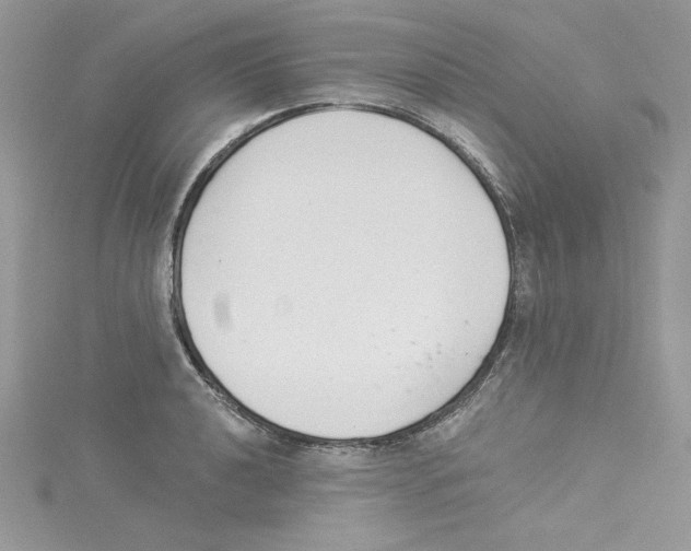 X0000114081040200911161012