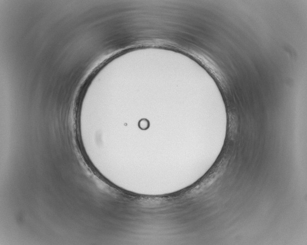 X0000114081046200911161012