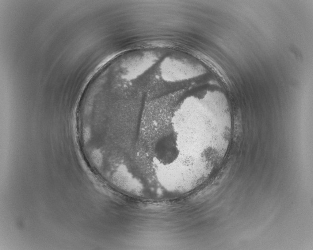 X0000114081047200911161012