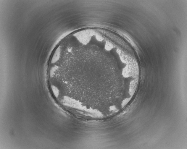 X0000114081048200911161012