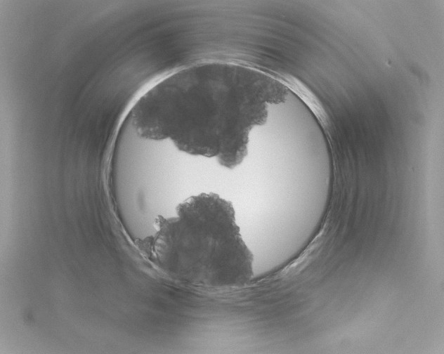 X0000114081052200911161012