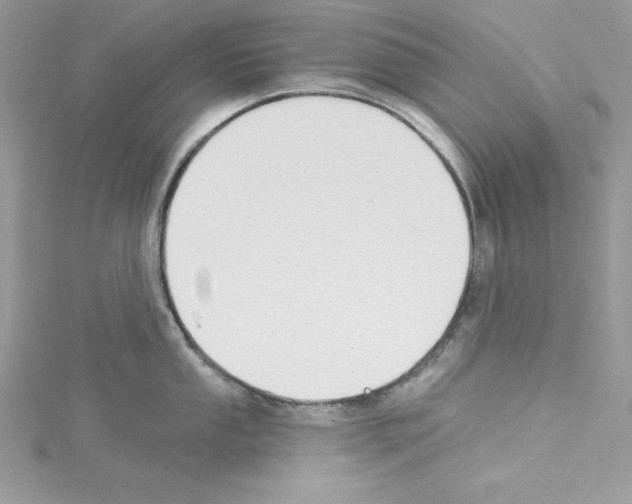 X0000114081053200911161012