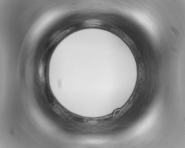 X0000114081054200911161012