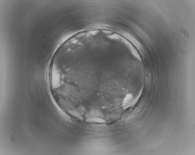 X0000114081055200911161012