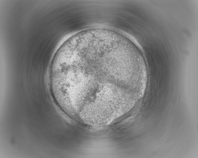 X0000114081056200911161012