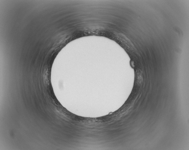 X0000114081060200911161011