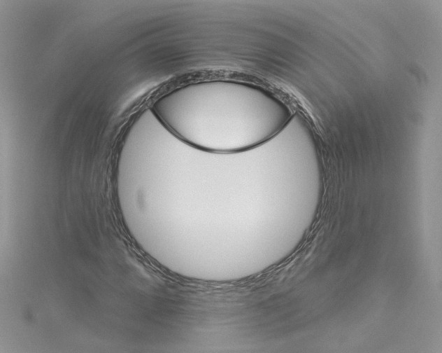 X0000114081064200911161011