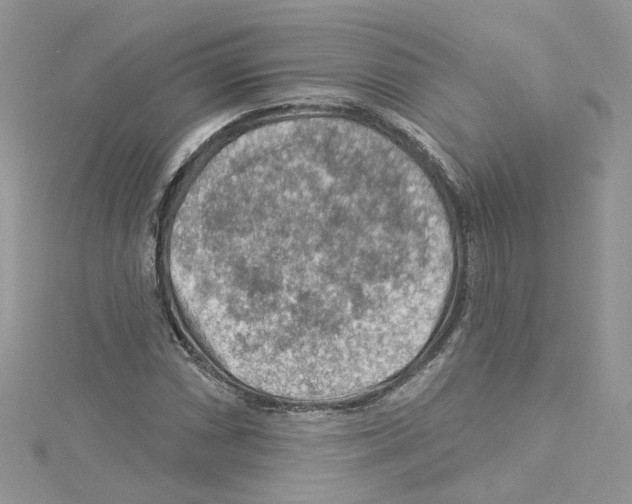 X0000114081066200911161011