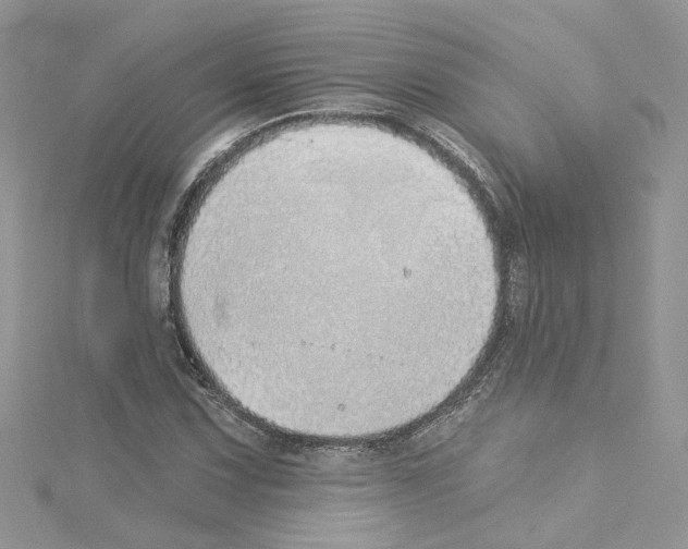 X0000114081067200911161011