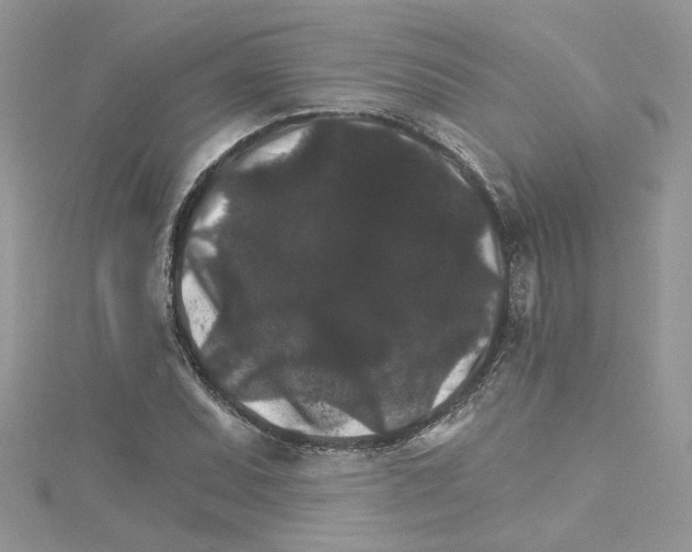 X0000114081071200911161011